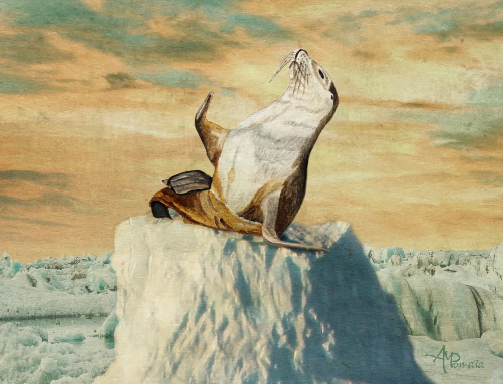 Pomata, M. Angeles: Greetings From the Arctic