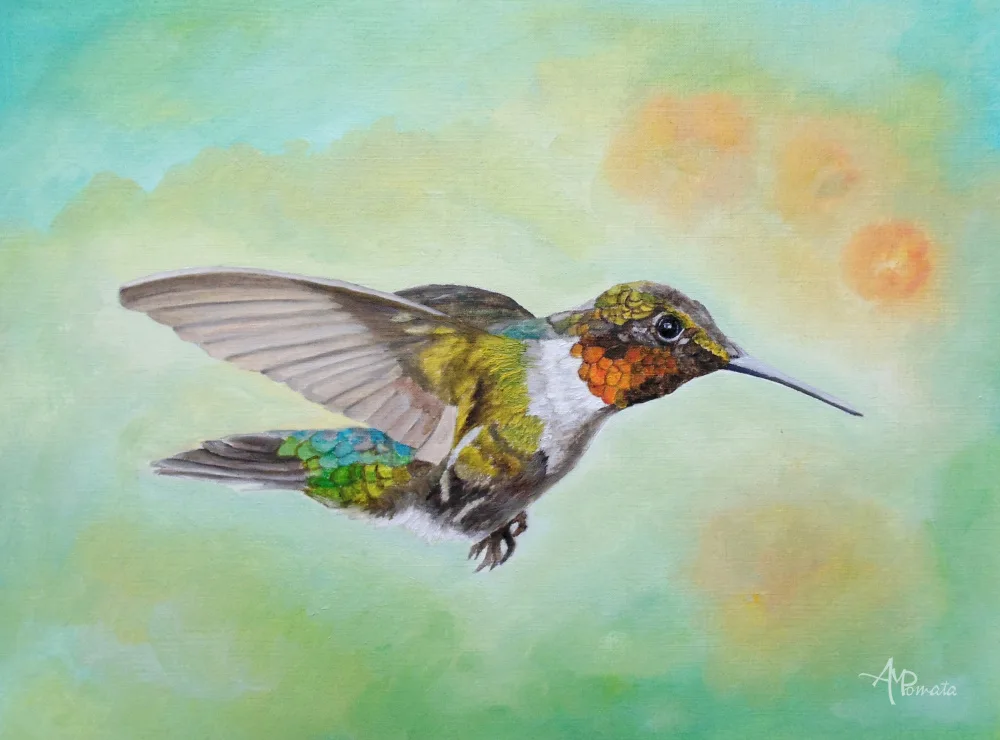 Pomata, M. Angeles: Hummer volant hétéroclite