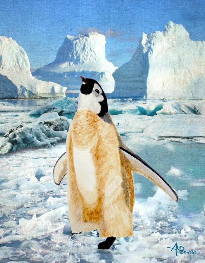 Pomata, M. Angeles: Pulcino di pinguino nell'Artico