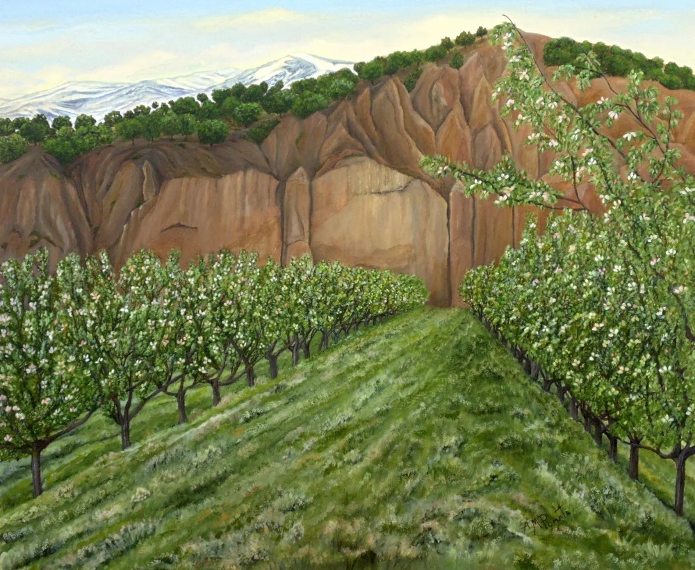 Pomata, M. Angeles: Alberi di mele cotogne