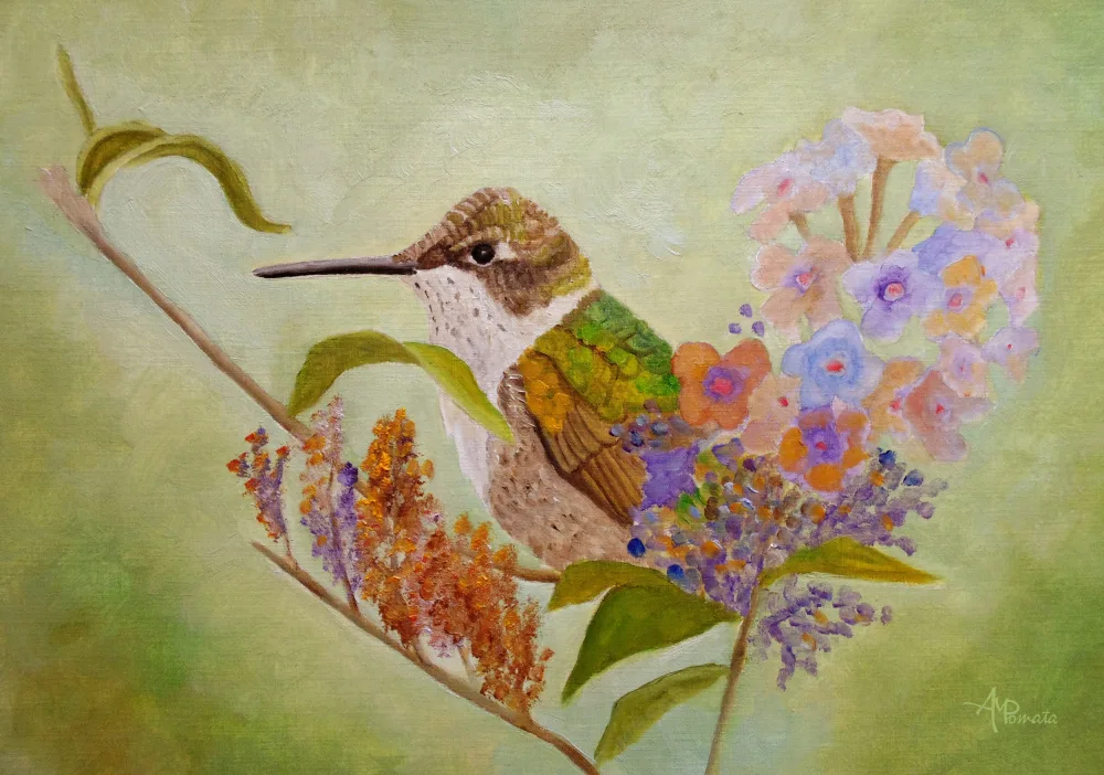 Pomata, M. Angeles: cariño rubí
