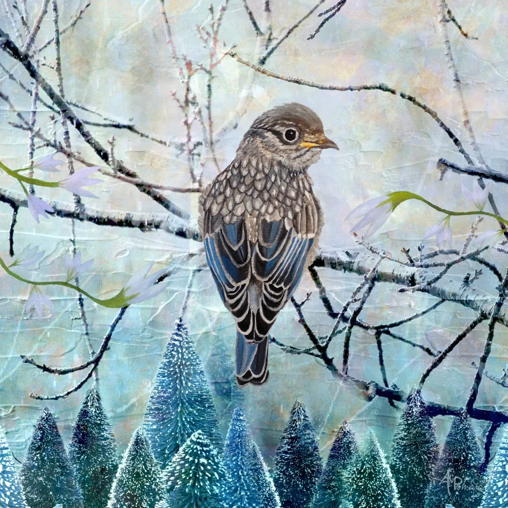 Pomata, M. Angeles: Resplandor de invierno