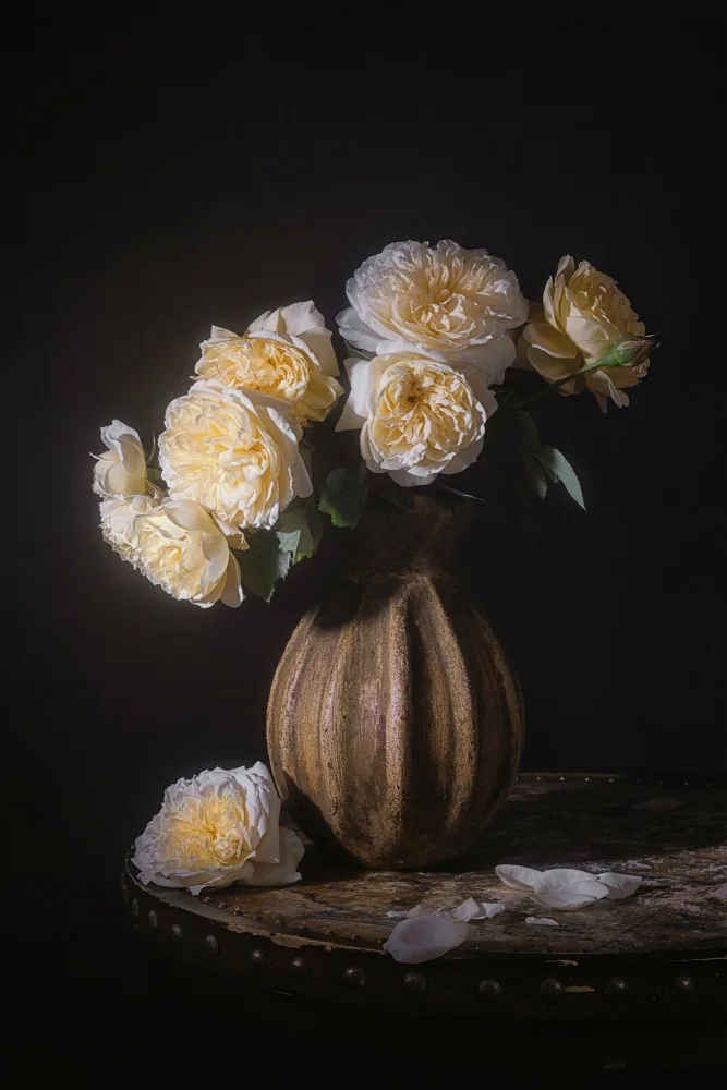 Jacobs, Lydia: THE COUNTRY PARSON  ROSES