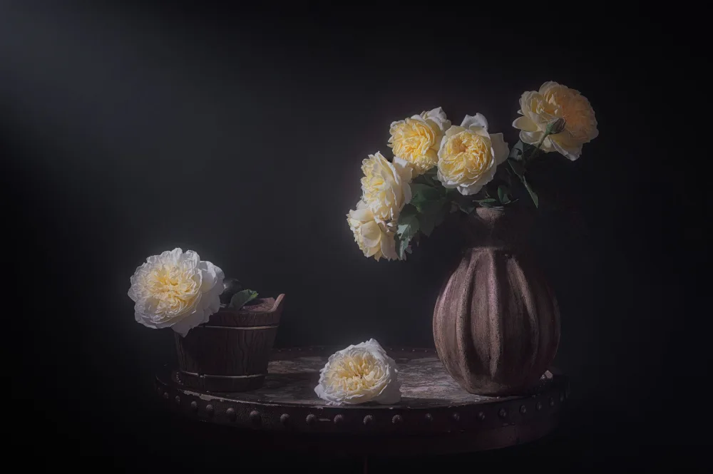 Jacobs, Lydia: Eine ziemlich lebhafte Rose