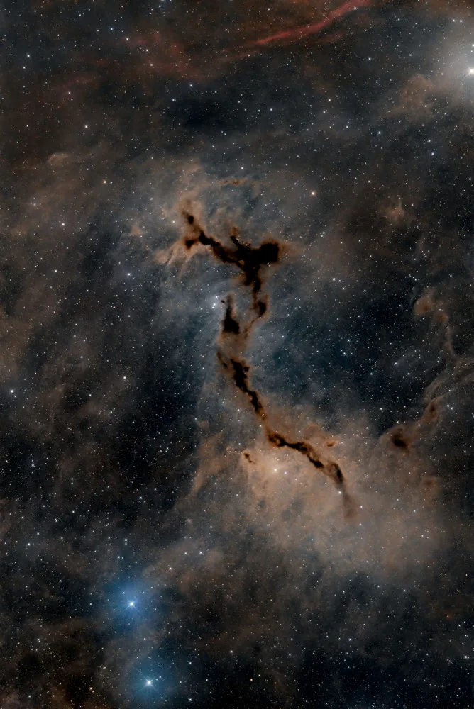 Chander, Vikas: The Seahorse Nebula