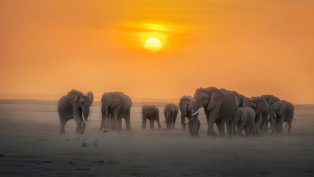 Thwaits, Yun: Good Morning, Africa