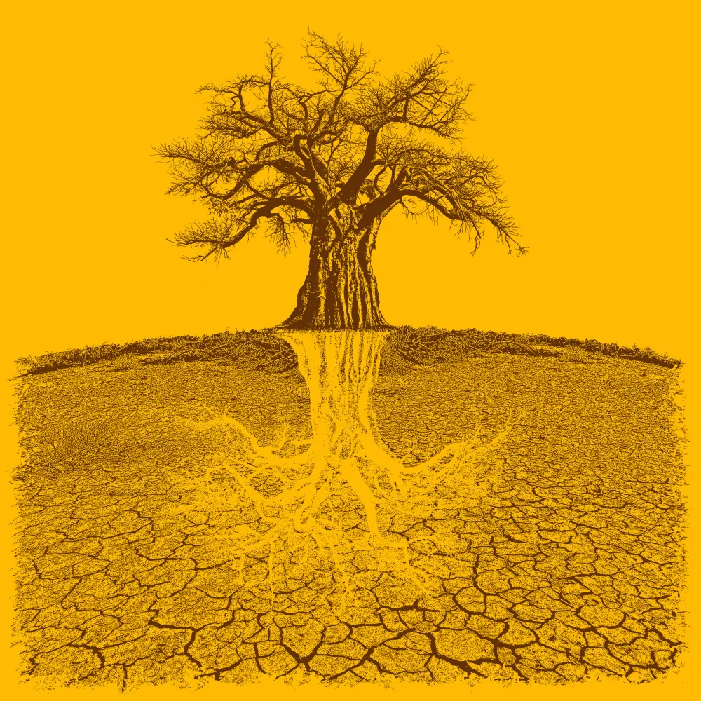 Kaminski, Carlo: Baobab Mythical Roots Deeper Yellow (h)