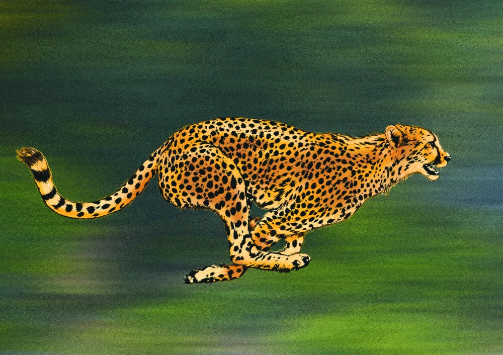 Kaminski, Carlo: Cheetah Full Sprint