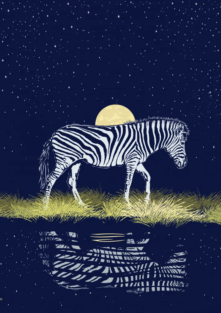 Kaminski, Carlo: Zebra při východu měsíce Waterhole