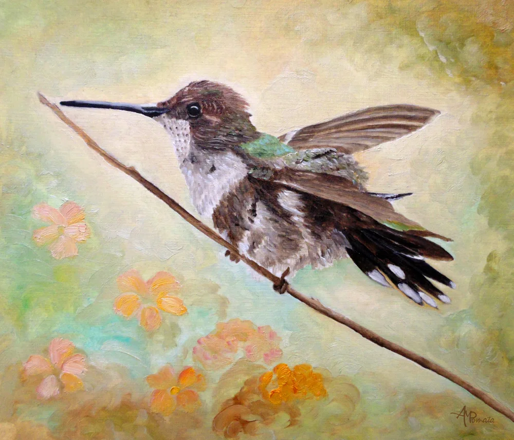 Pomata, M. Angeles: Adjusting the Flaps