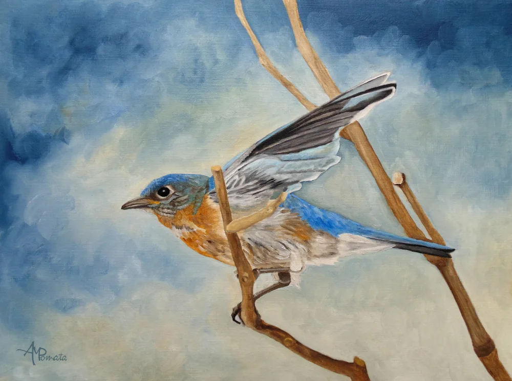 Pomata, M. Angeles: Bluebird, Blue Morning