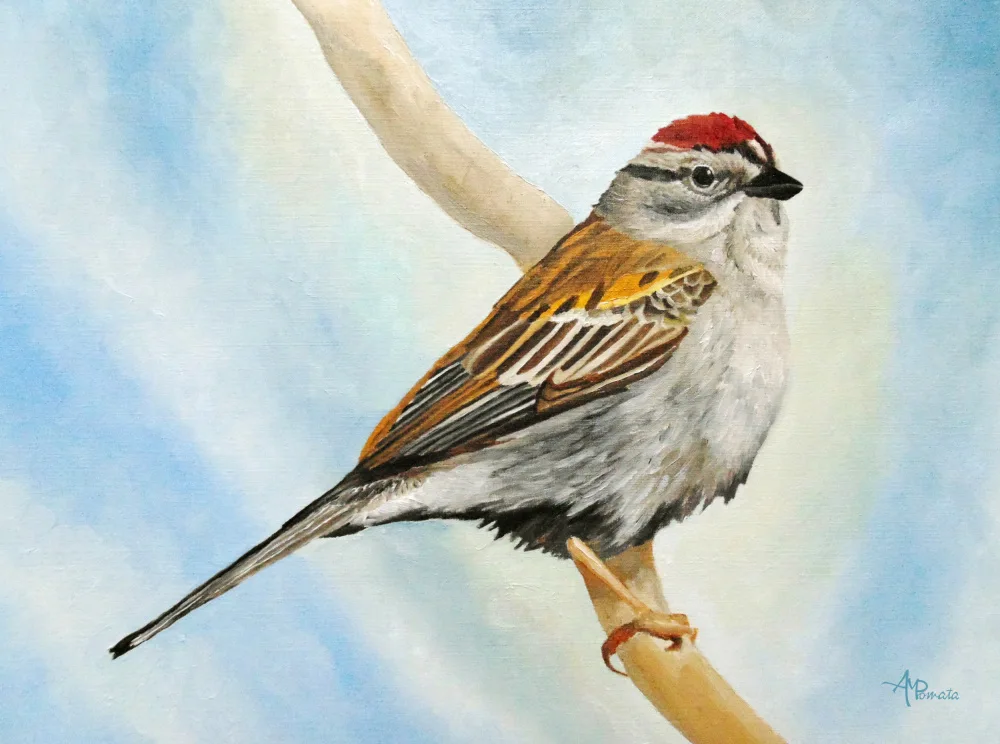 Pomata, M. Angeles: Bruant broyeur