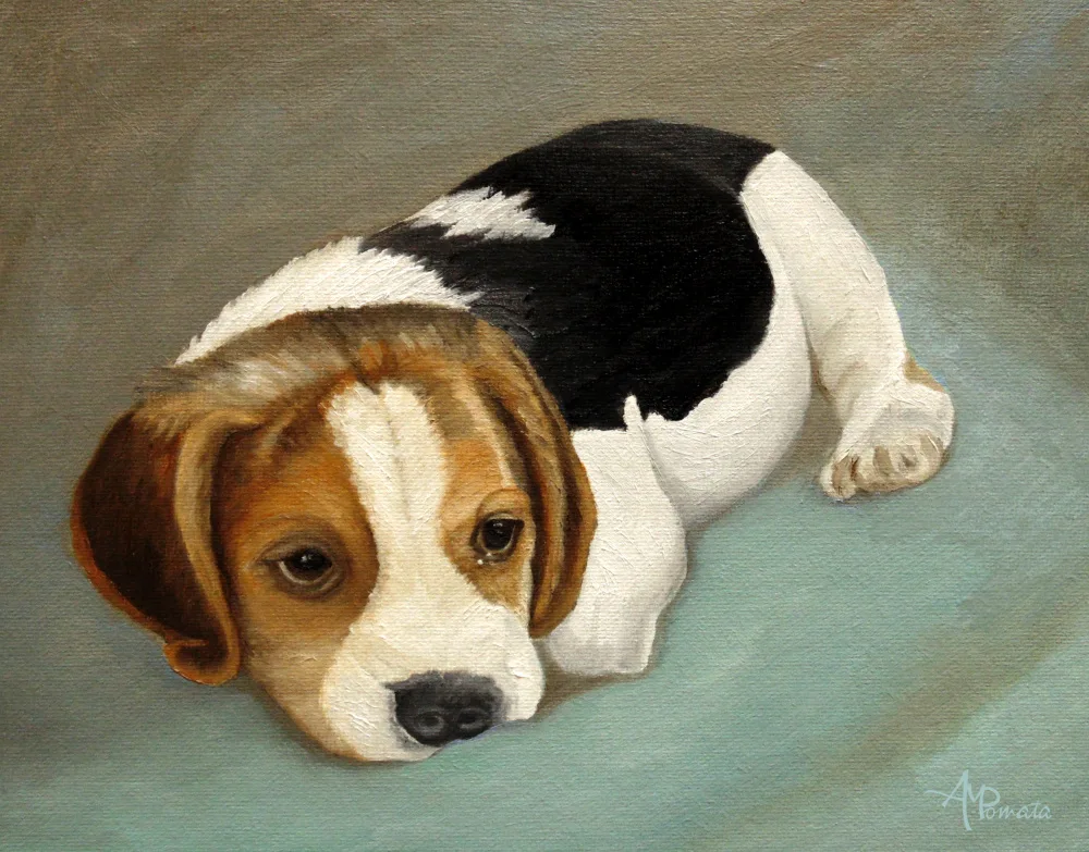 Pomata, M. Angeles: Cute Beagle