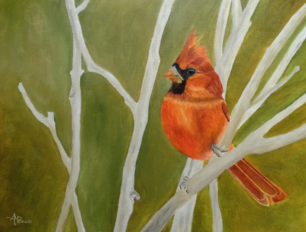 Pomata, M. Angeles: Cutest Ambushed Cardinal