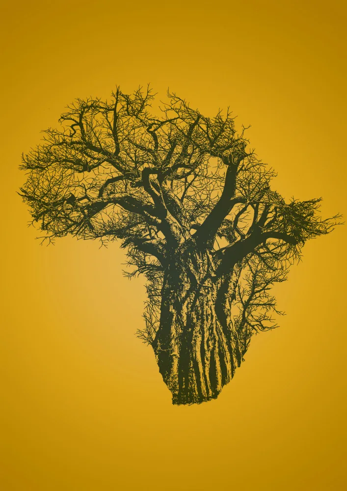 Kaminski, Carlo: Africký baobab při západu slunce