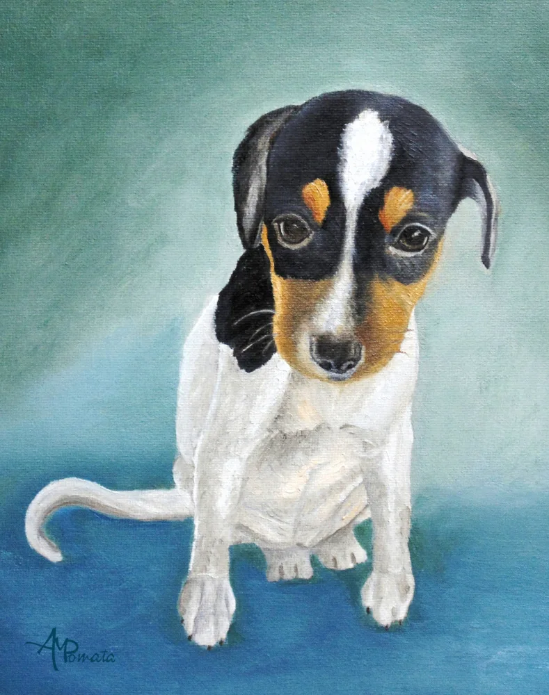 Pomata, M. Angeles: Cachorro de ojos de gama