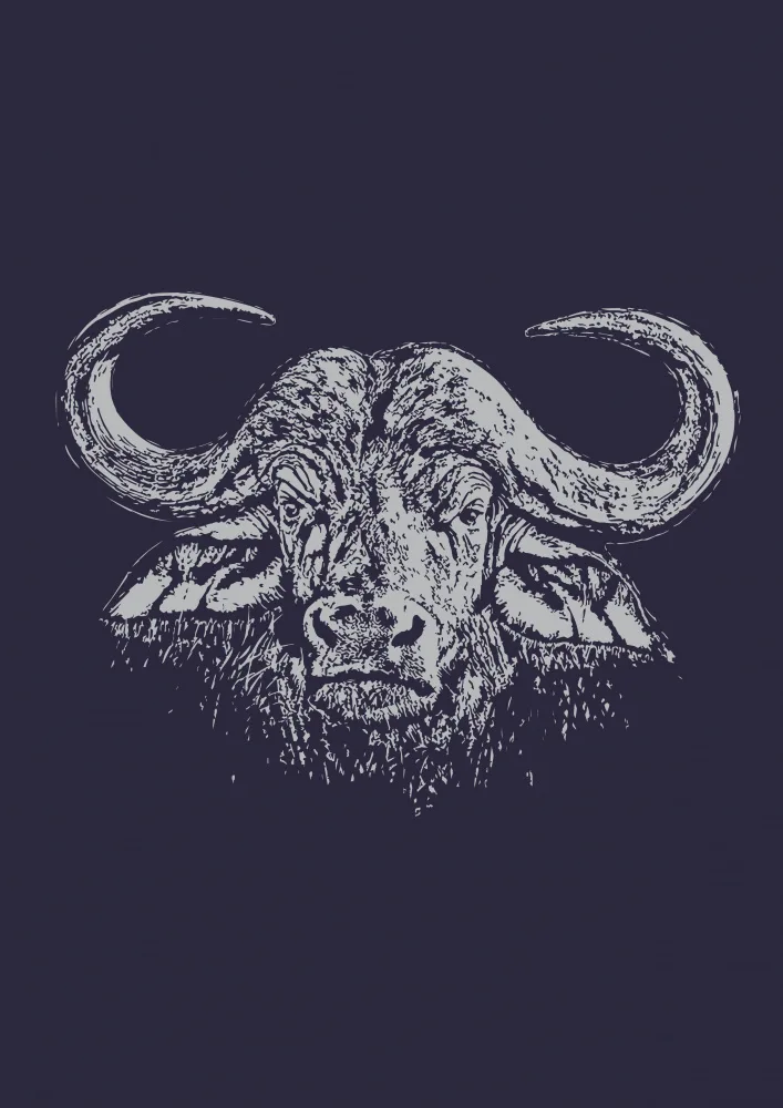 Kaminski, Carlo: Cape Buffalo a Oxpecker