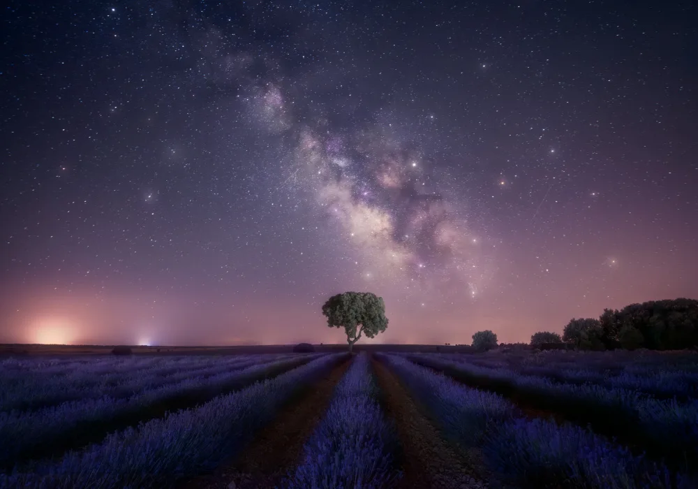 Joanaduenas: Lavender fields nightshot 2 7R27337
