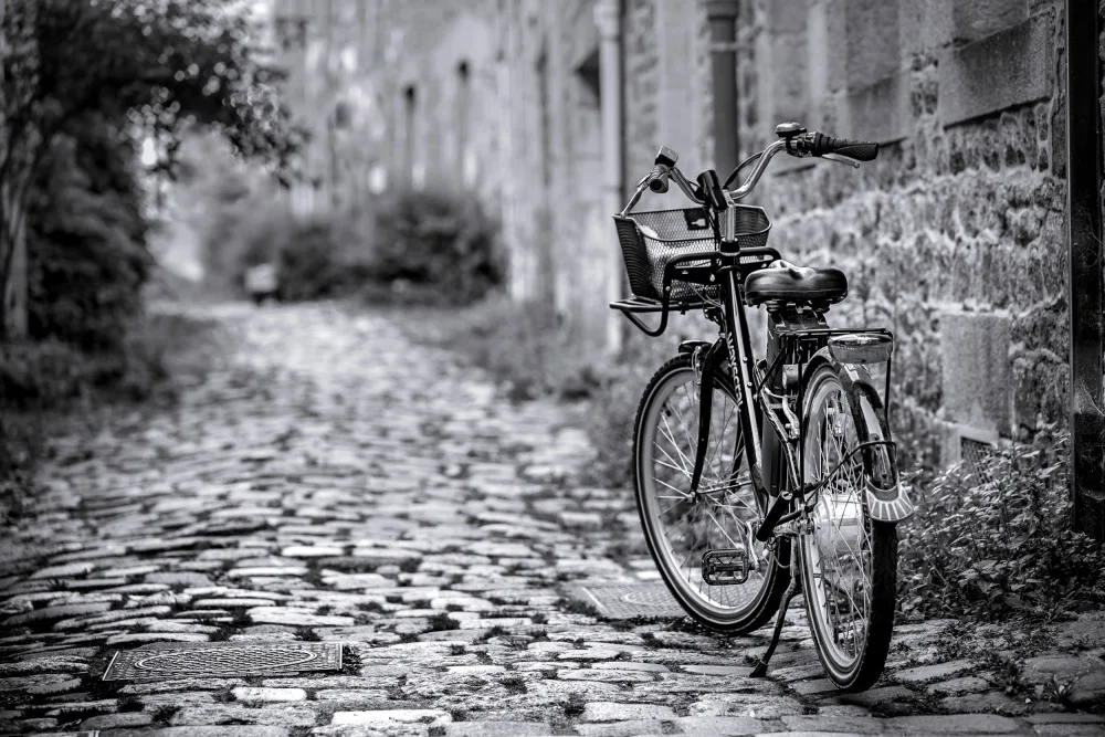 Vales, Didier: El velo
