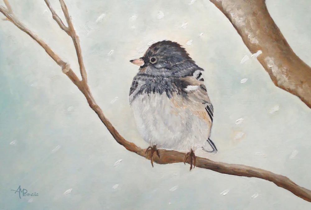 Pomata, M. Angeles: Pájaro de las nieves en la ventisca