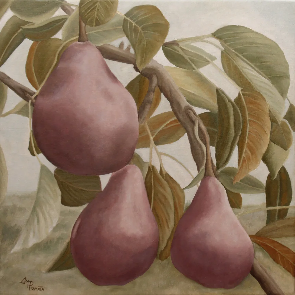 Pomata, M. Angeles: Peras Max Red Bartlett