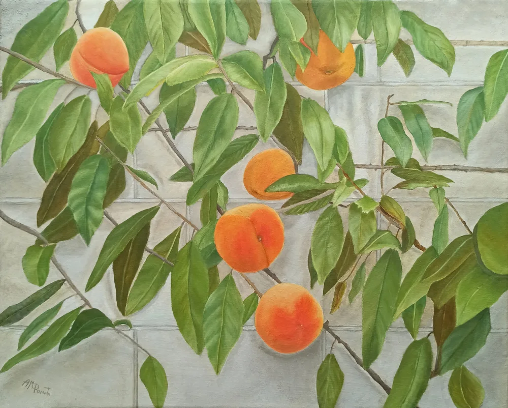 Pomata, M. Angeles: Peaches