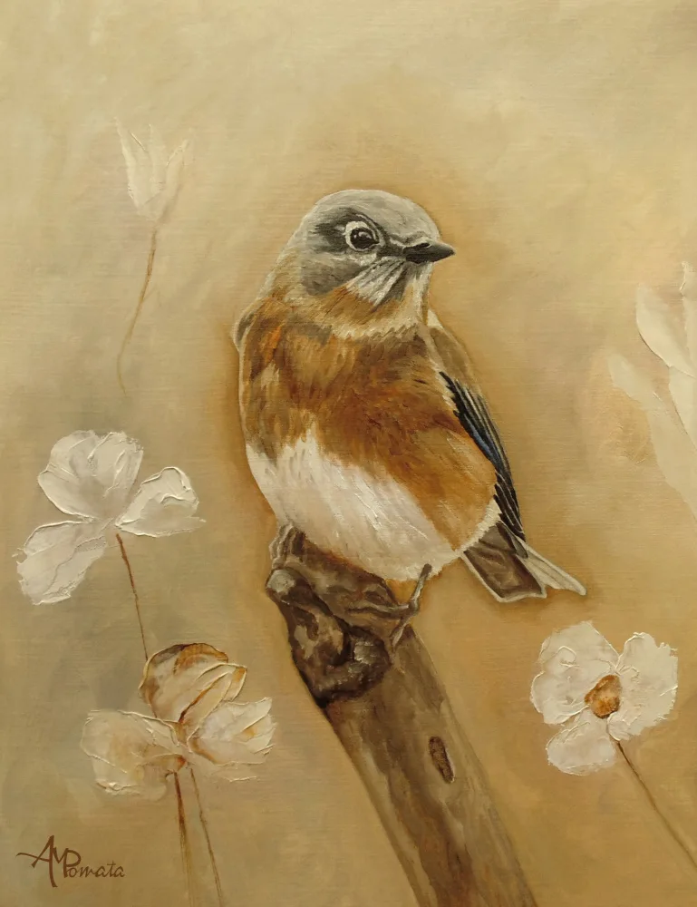 Pomata, M. Angeles: Dulce como canela