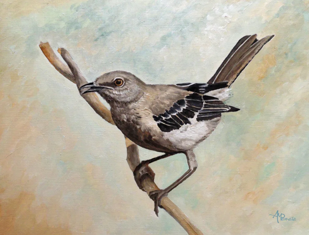 Pomata, M. Angeles: Sinsonte de ojos afilados