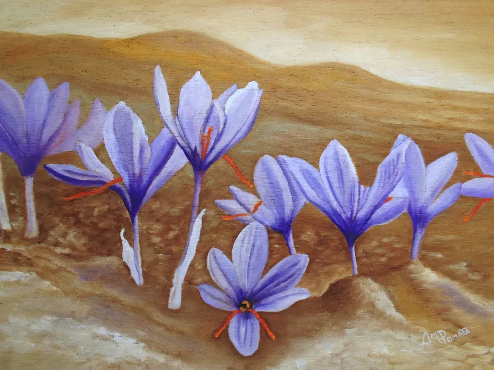Pomata, M. Angeles: Flores de azafrán