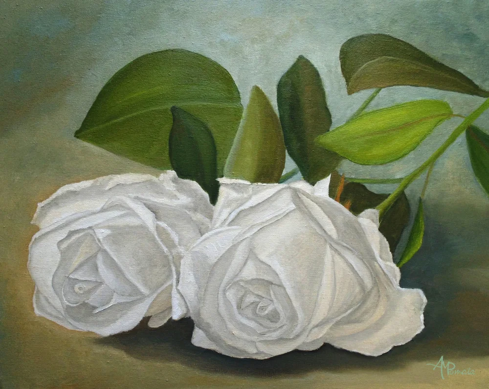 Pomata, M. Angeles: Roses blanches