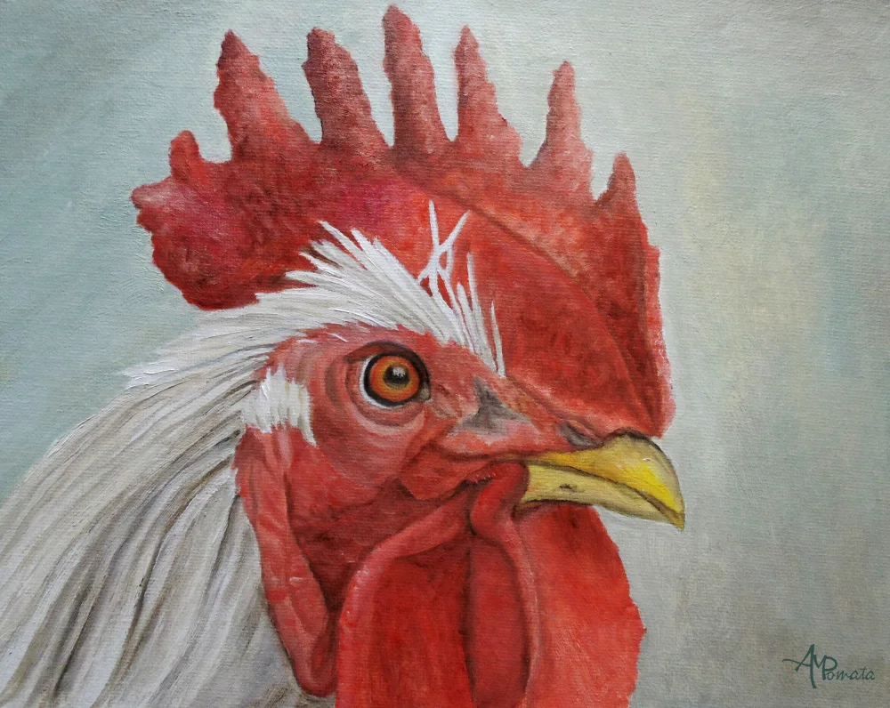 Pomata, M. Angeles: Signor Gallo