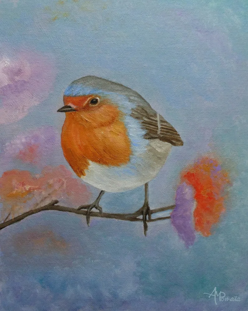 Pomata, M. Angeles: Robin