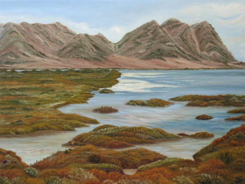 Pomata, M. Angeles: Salt Marsh