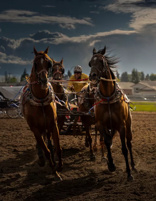 Li, Bing: Die Kraft und die Geschwindigkeit,Chuckwagon-Rennen