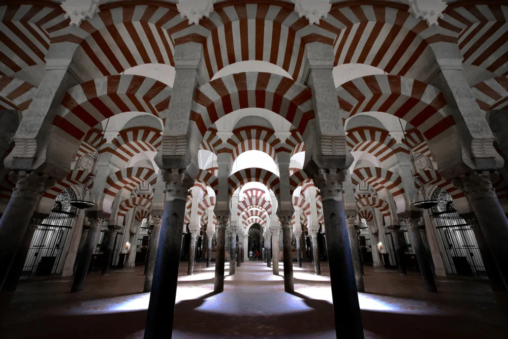 Pimenta, Jorge: Unity and Diversity