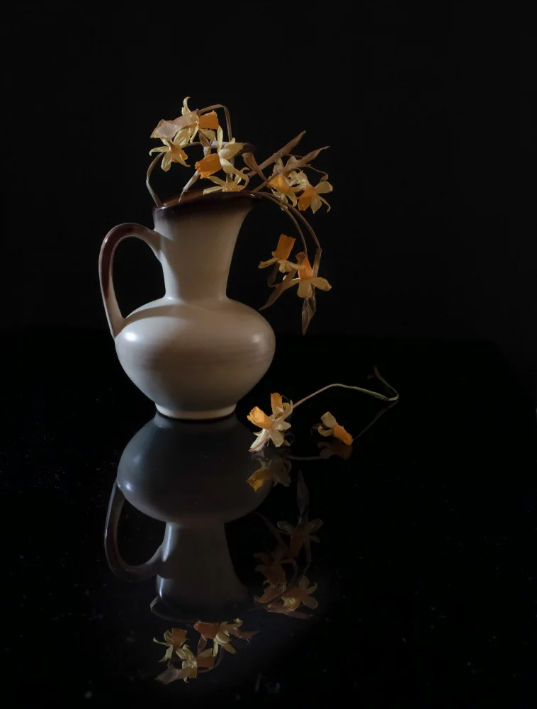 Zuo, Yuanwei: 静物003