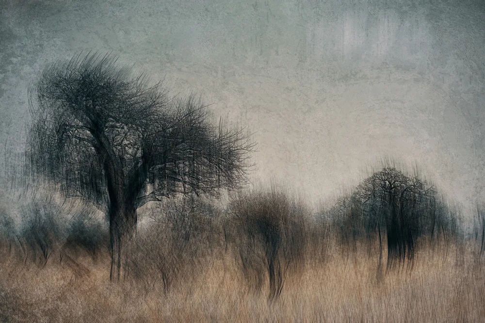 Linden, van Jan: Alberi del Serengeti