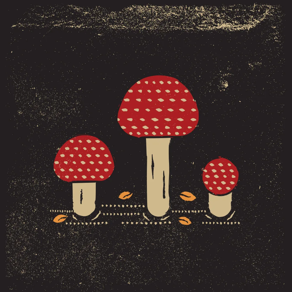 Art, Grasp Vision: Hongos