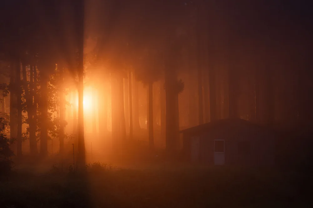 Ikeshita, Hiroaki: Lumière dans la brume