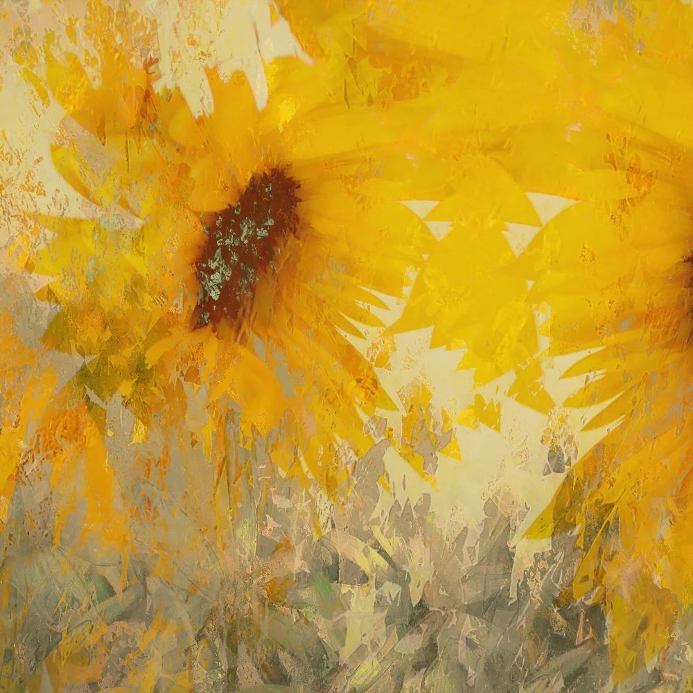 Talen, Nel: Girasole