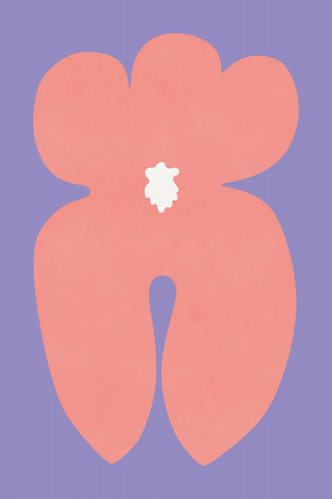 amini54: Flor De Orquídea Rosa