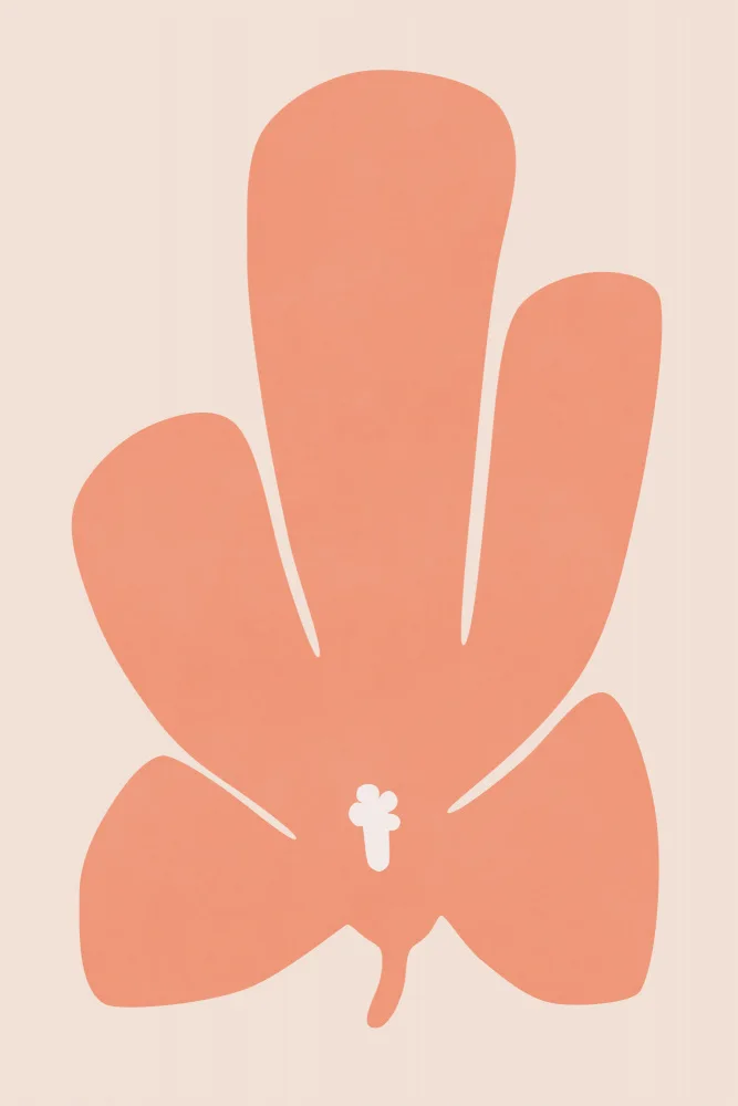 amini54: Flor de tulipán coralino