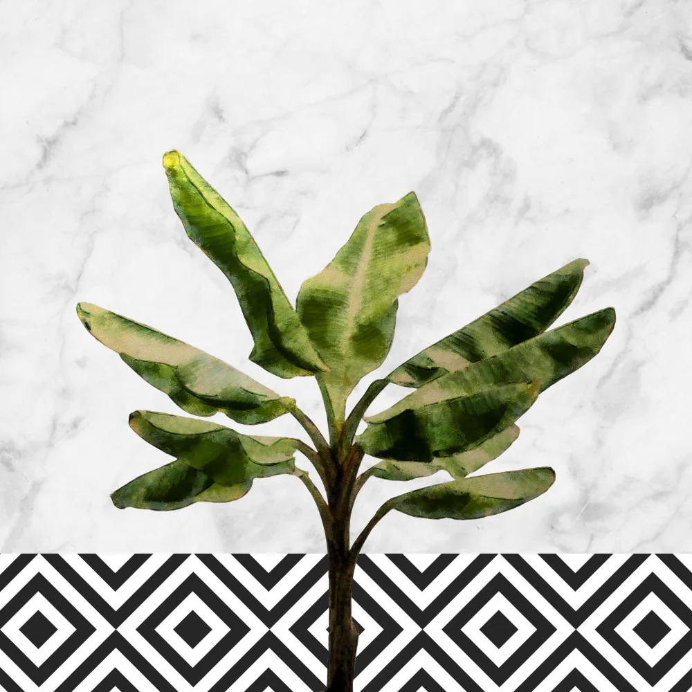 amini54: Árbol de plátano en la pared a cuadros