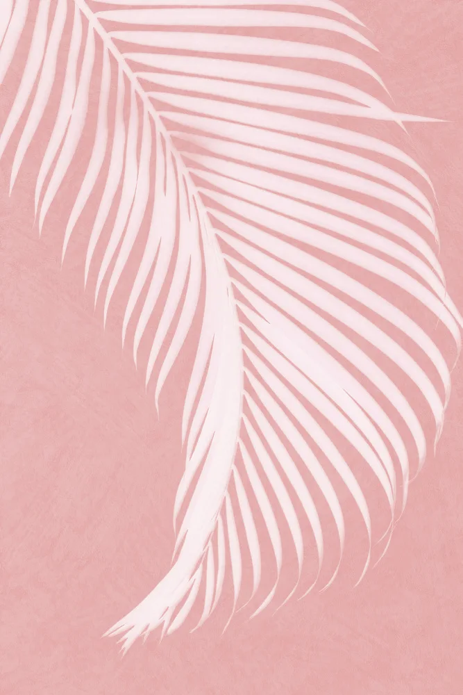 amini54: Hojas De Palma En Silueta Rosa I