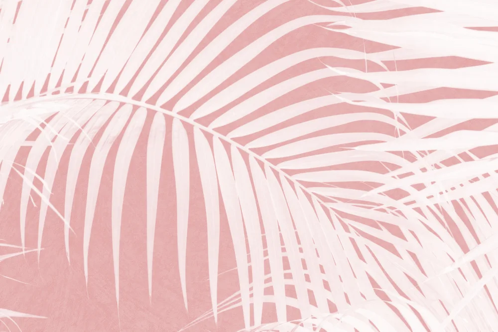 amini54: Hojas De Palma En Silueta Rosa IV