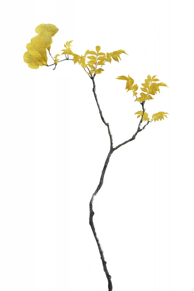 amini54: Flower Minimal Black and Gold 01