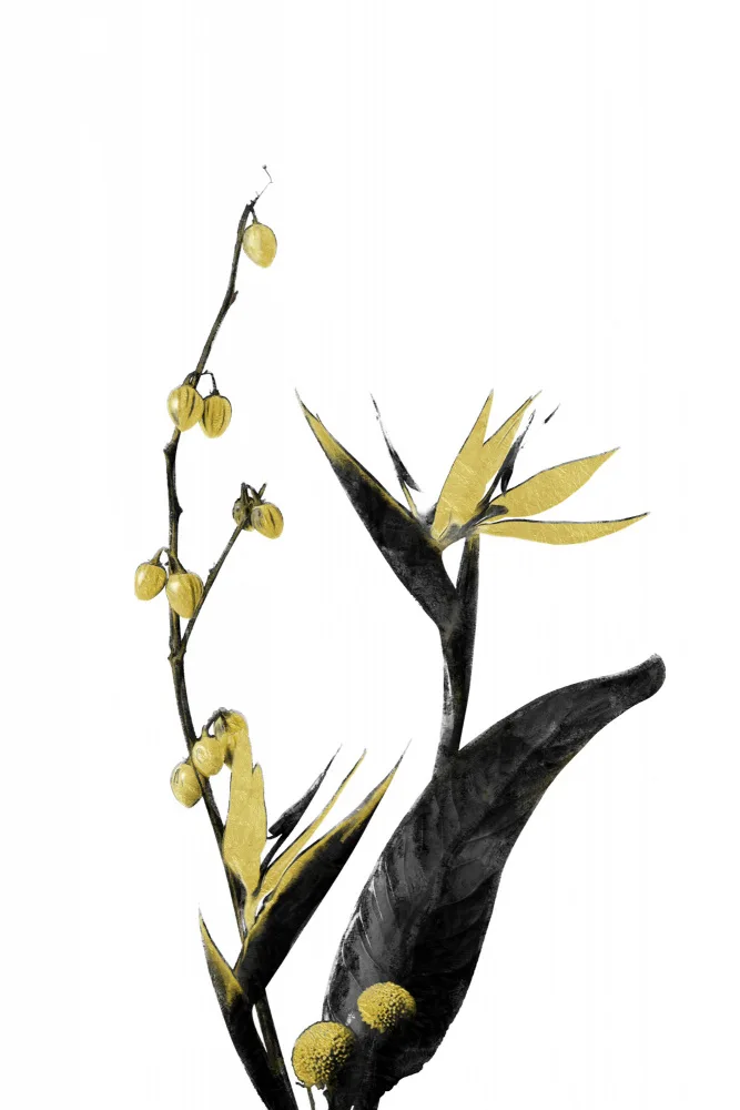 amini54: Flower Minimal Black and Gold 02