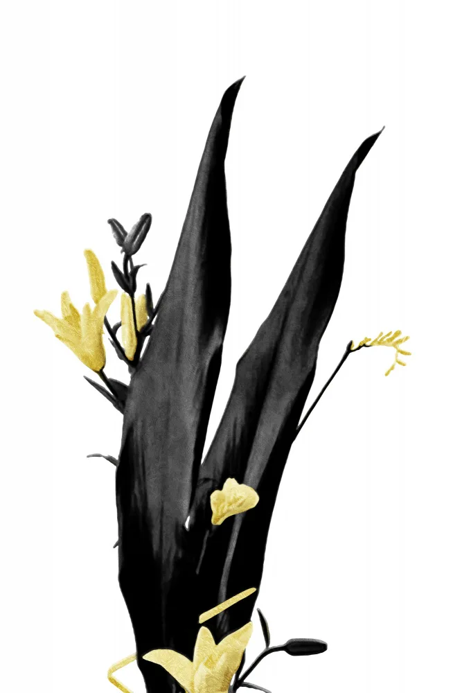amini54: Flower Minimal Black and Gold 03