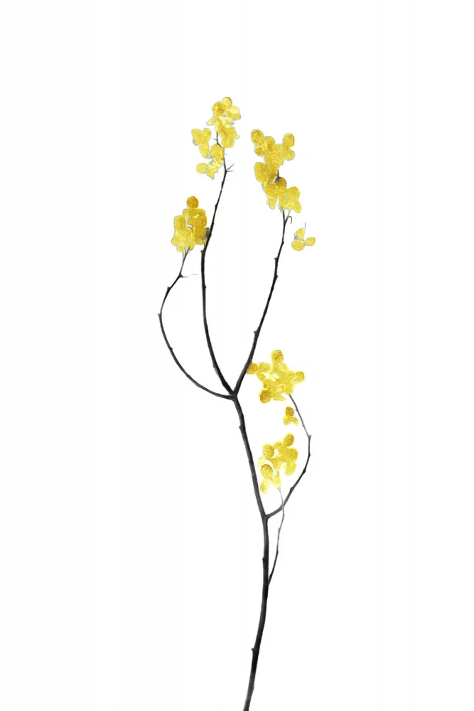 amini54: Flower Minimal Black and Gold 09