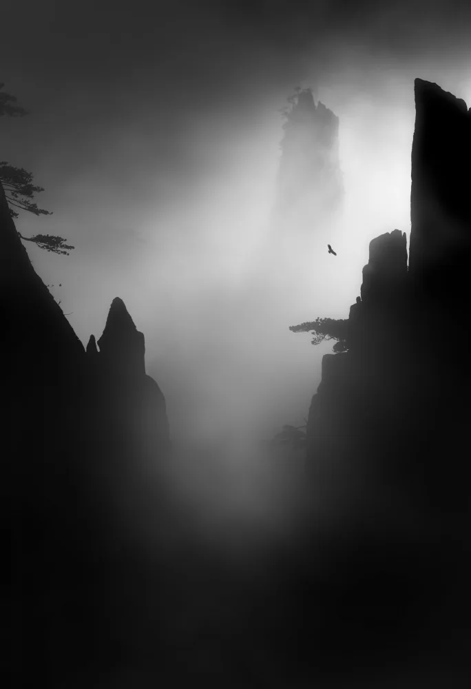 Ye, NingYun: Montagne et oiseau